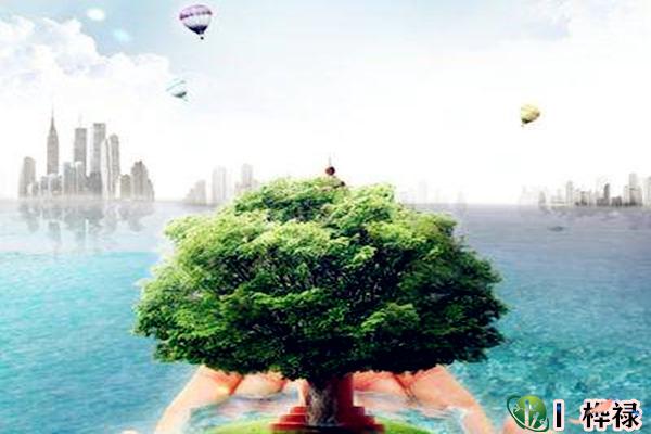 这些被人忽略的小事影响运势