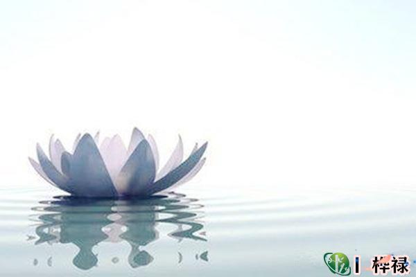 七杀旺的女八字好吗