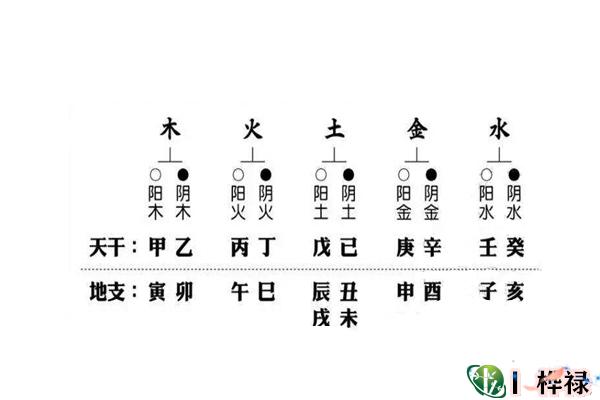 八字天干地支口诀大全