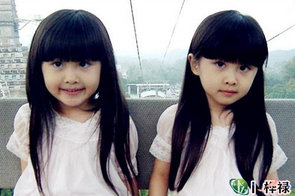 怎么理解双胞胎八字相同命不同