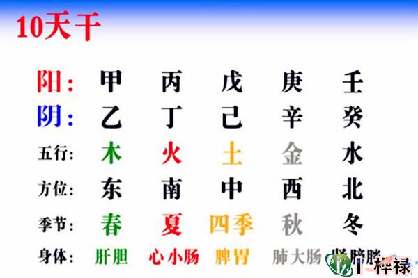 十天干相生相克作用