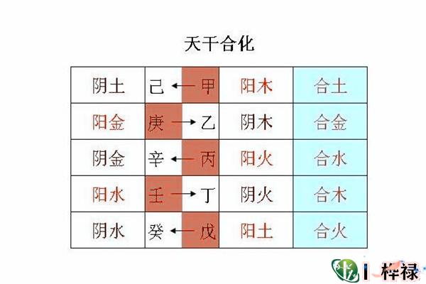 八字中天干合化主事