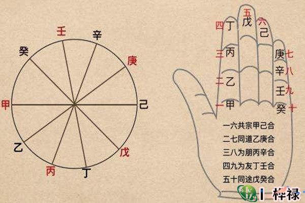 八字天干五合详解大全