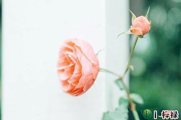 八字看凶灾主要看哪些方面（八字看凶灾主要看哪些方面的）