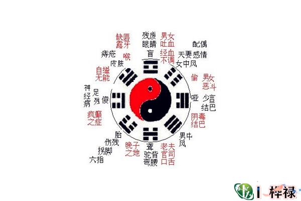 六爻八卦代表的人体象义全解