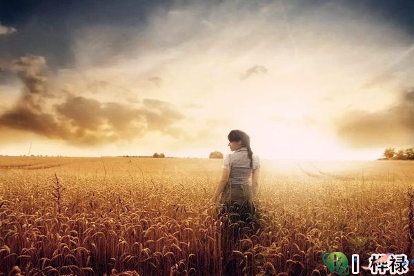 什么男命可以娶到好妻子