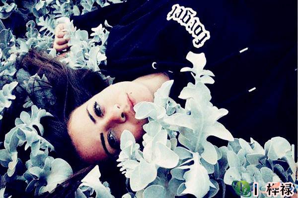 女命易偷情的八字详解