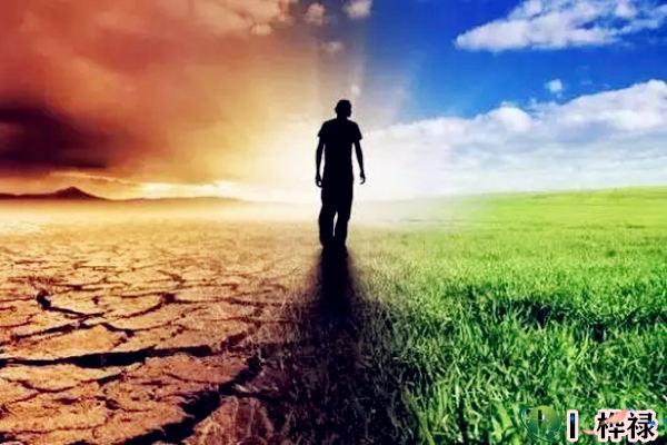 八字看一个人未来有多少财富