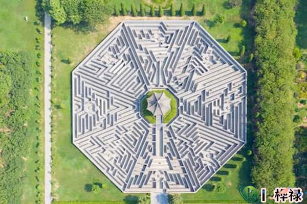 八字格局低如何化解