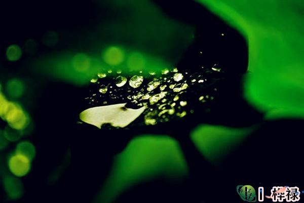 八字格局低如何化解