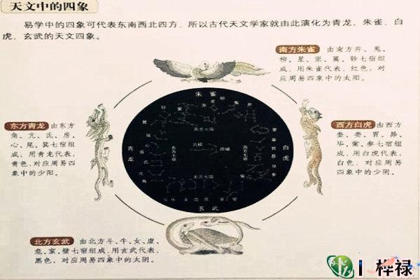 风水学中的四象是什么