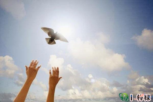 八字格局高低运行运