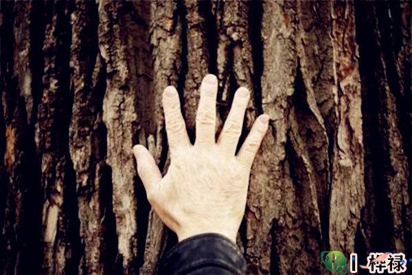 贫穷命的八字格局特征