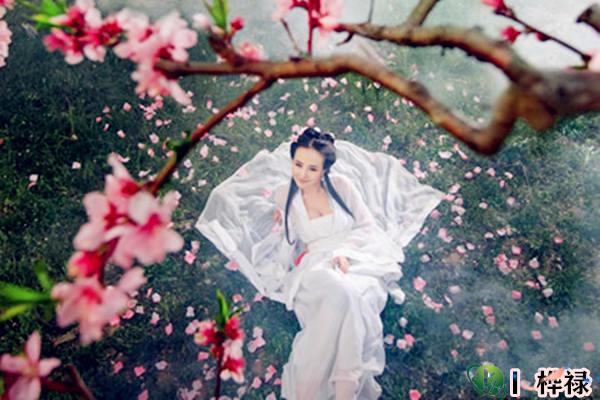 八字有哪些桃花神煞