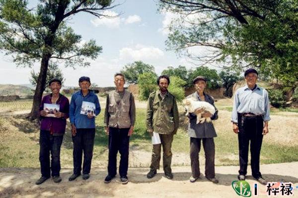 注定打光棍的八字特点