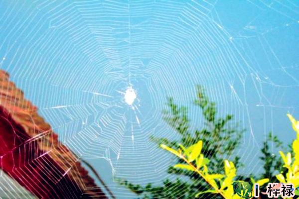 天罗地网吉凶及化解方法