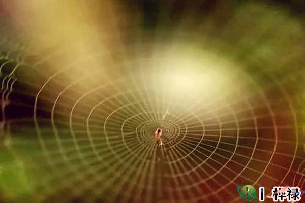 天罗地网吉凶及化解方法