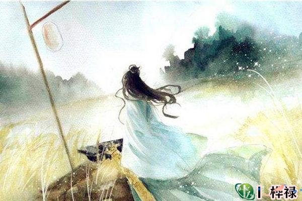 盲派断妻子信息口诀