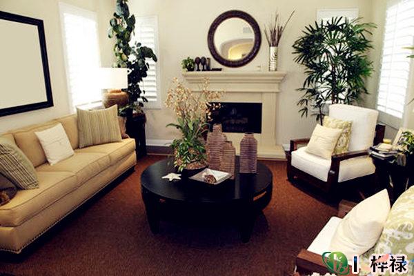 客厅茶几选择摆放风水禁忌