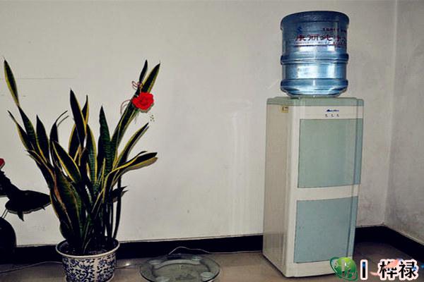 家里饮水机的摆放风水禁忌