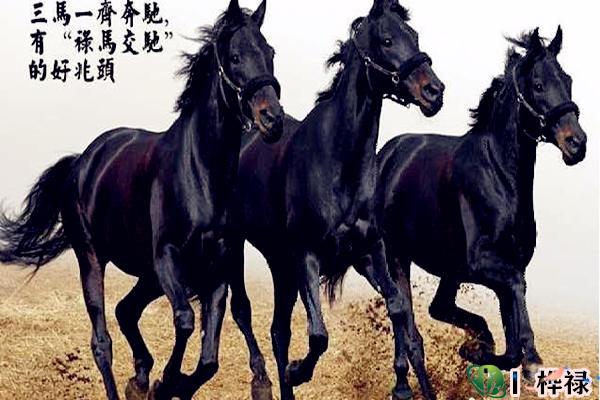八字神煞驿马星详解