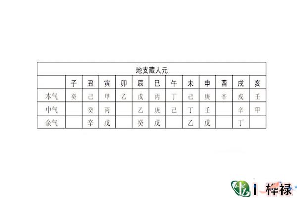 十二地支藏干分类