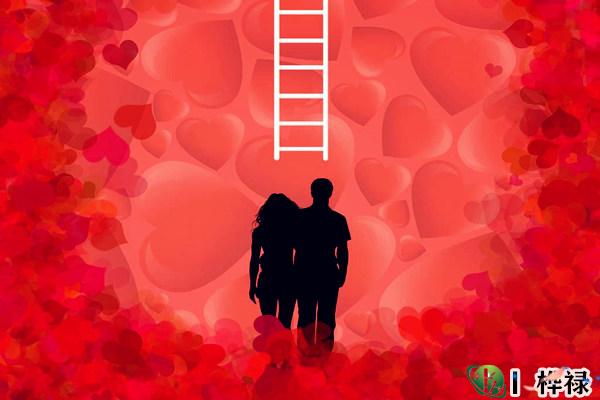 六爻官鬼爻测婚姻好坏技巧