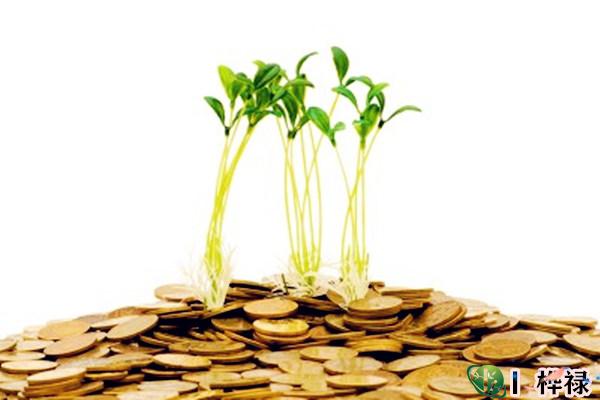 富甲一方的八字特点