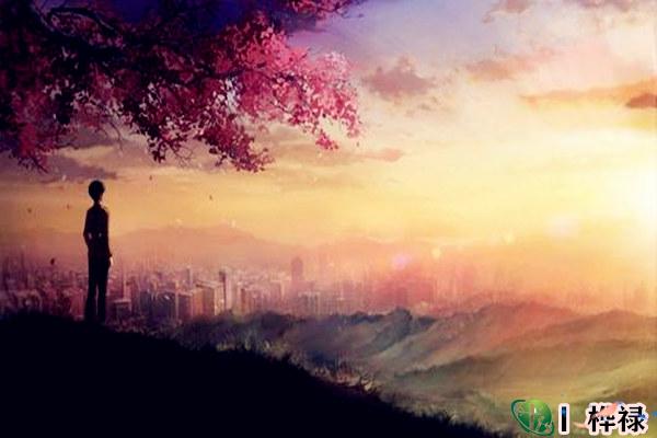 事业放在第一位的八字特点