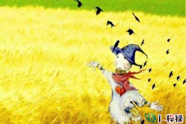 命中少子的八字特点