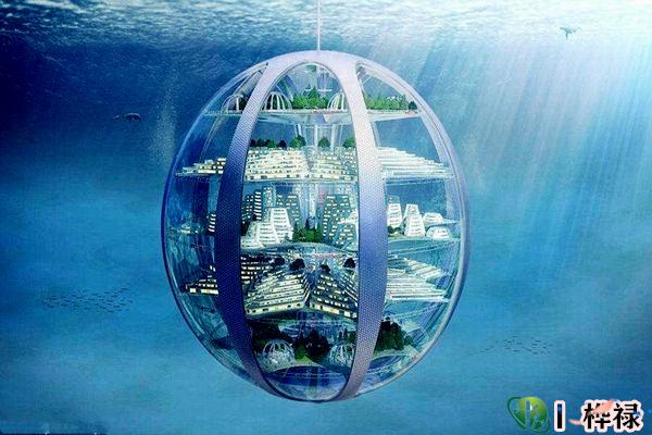 极致聪明的八字组合