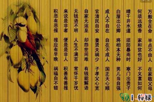 八字吉凶断语