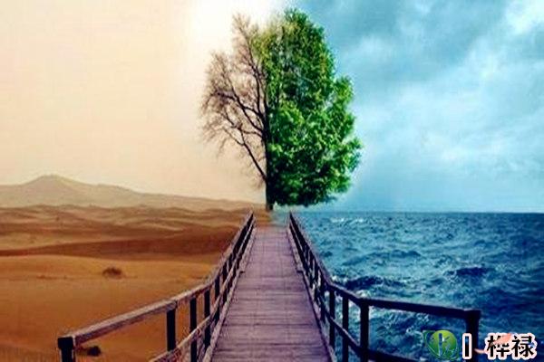 八字七杀格详解大全