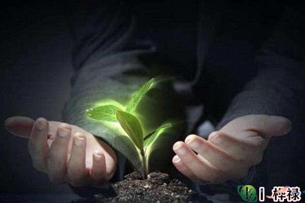 天生财运充沛的八字，八字看财运好坏的方法