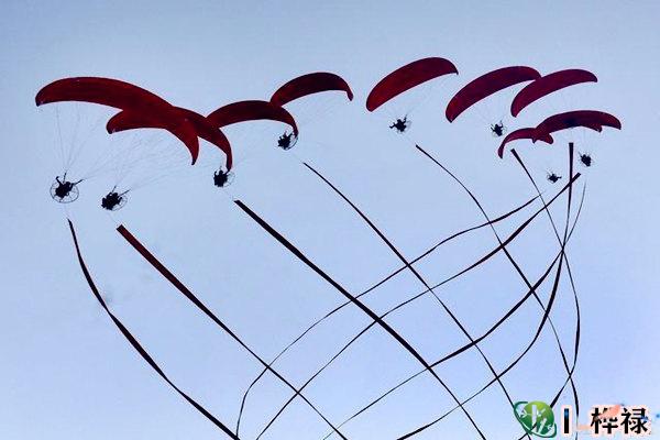 偏印与十神的吉凶特点