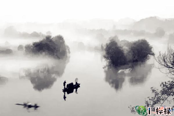 八字从杀格详解