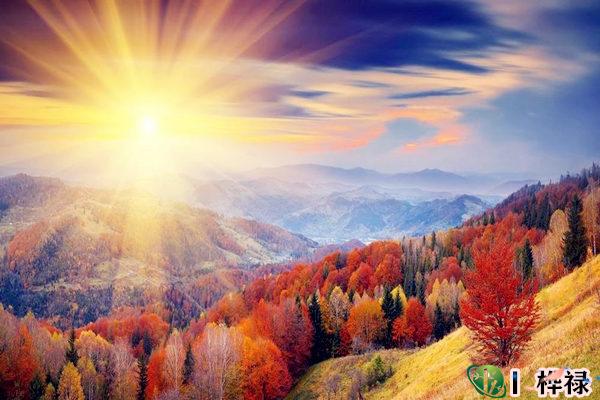 五行缺木缺金怎么补救