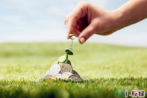 八字身强是命硬吗