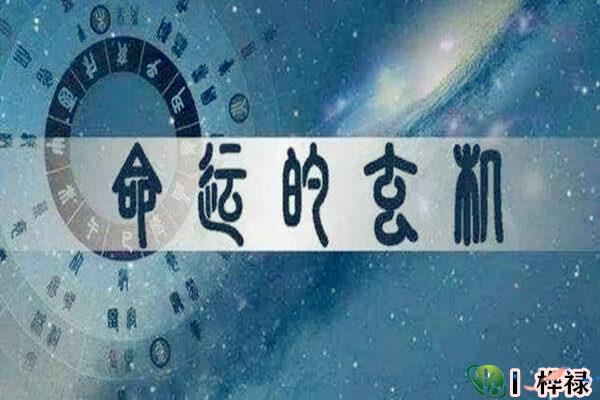 庚日主生于子月命理特点