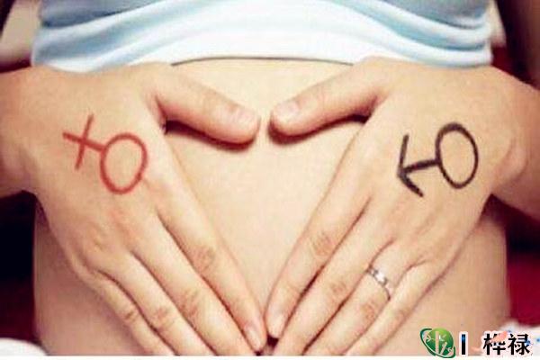 八字生男生女计算公式