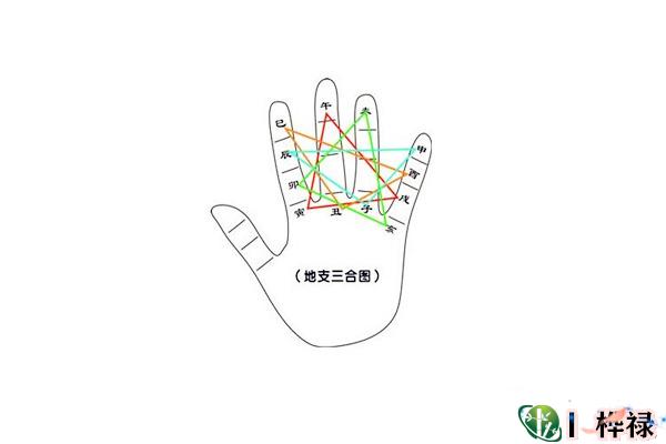 八字地支三合局合化标准