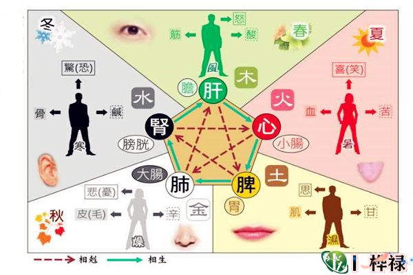 八字与疾病的关系