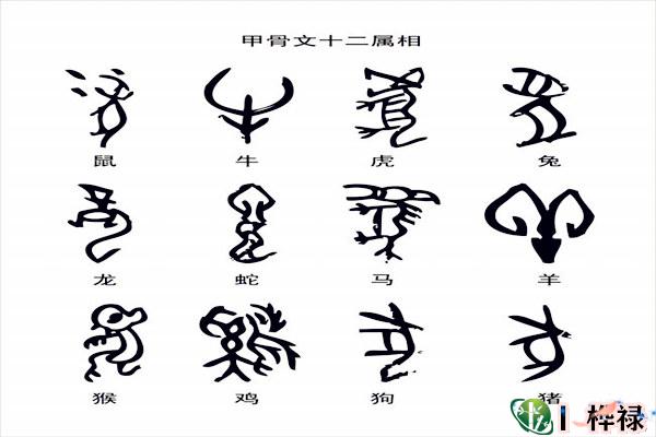 学八字必须掌握的天干地支基础知识