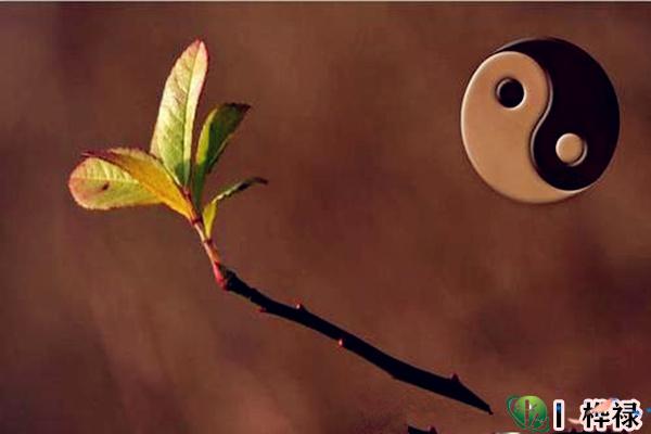 八字断生死的方法，寿元星看生死