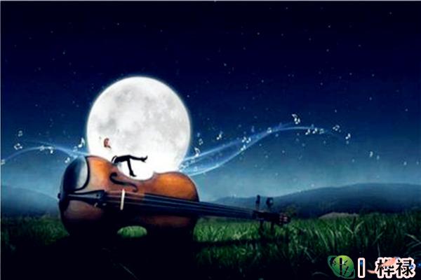 怎么评判八字格局高低