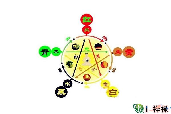 八字缺五行怎么补，五行缺补法大全