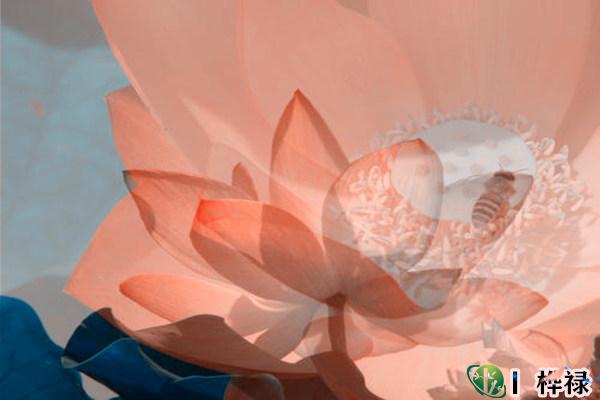 八字缺五行怎么补,五行缺补法大全