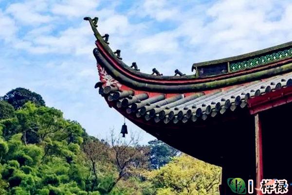 女命十神在各住的意义