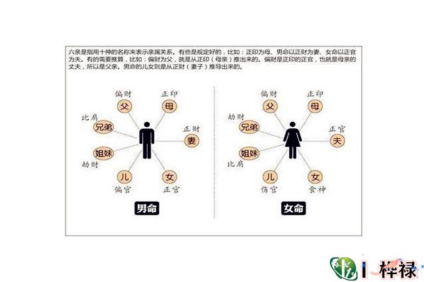 八字内六亲与外六亲，八字断六亲凶吉密诀