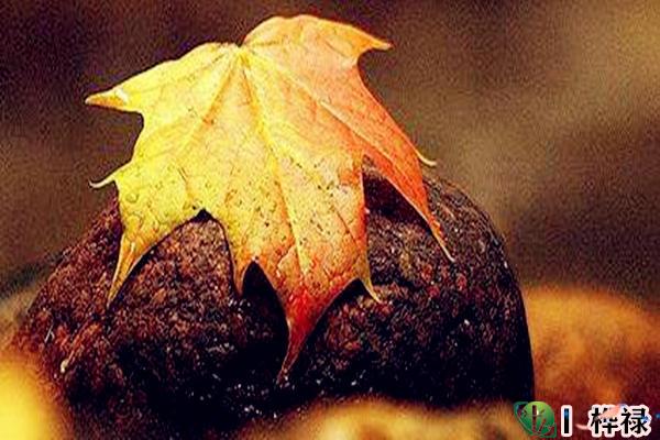 八字看贫贱之命,怎么知道富贵贫贱